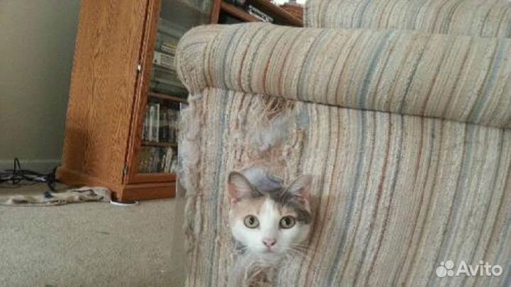 Перетяжка мягкой мебели