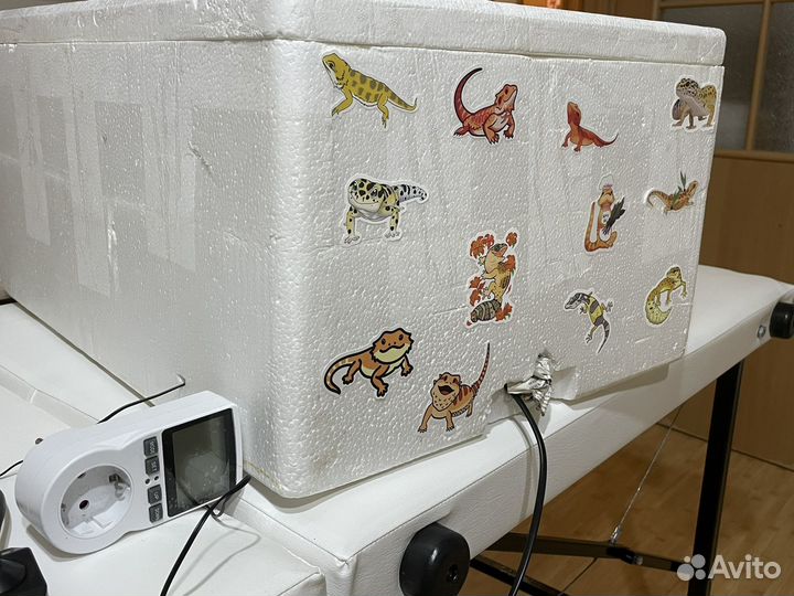 Самодельный инкубатор для рептилий