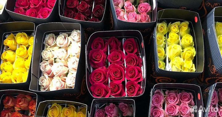 Цветы оптом розы хризантемы. Доставка