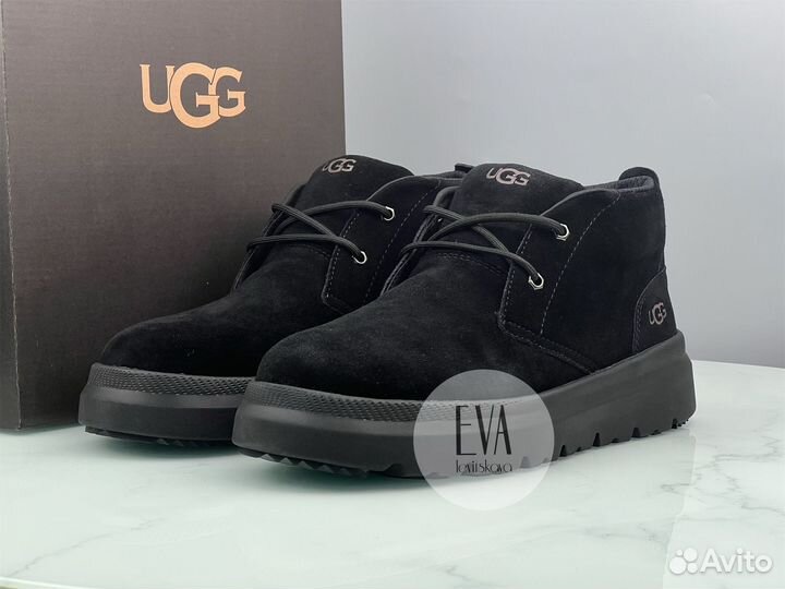 Мужские ботинки Ugg Mens Burleigh Chukka Black