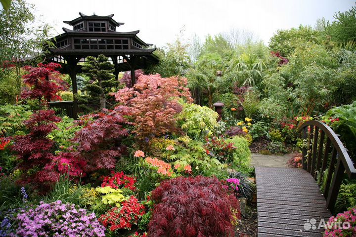 Разнорабочие на Вахту с проживанием