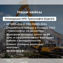 Тендерное сопровождение/44-фз/ 223-фз / Госзакупки, Петропавловск-Камчатский