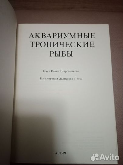 Аквариумные тропические рыбы