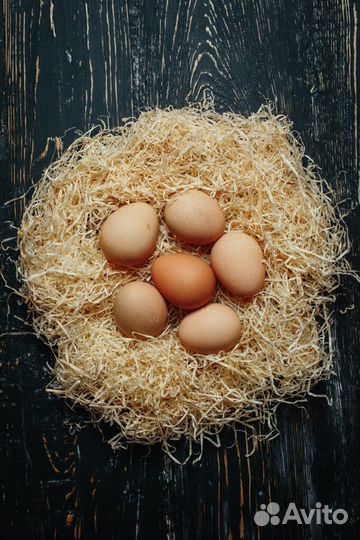 Цесариные яйца (яйца цесарки) десяток