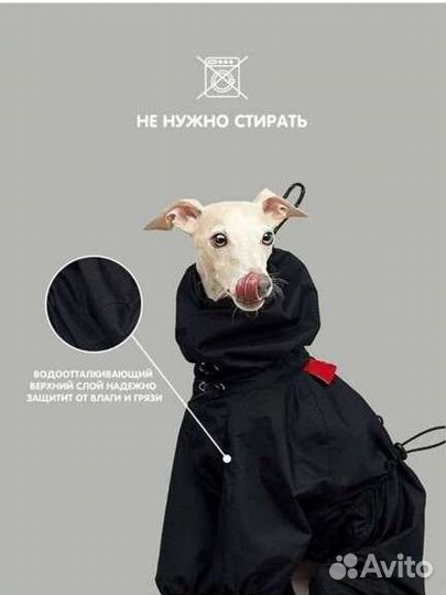 Дождевик для средней собаки