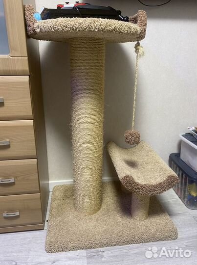 Когтеточка