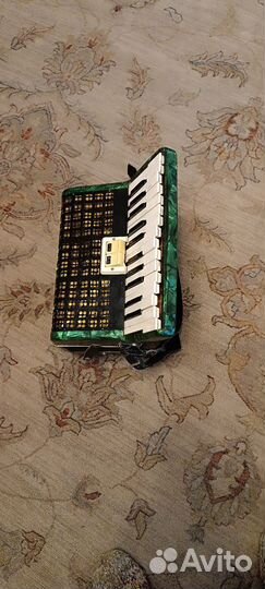 Аккордеон юность 1/2