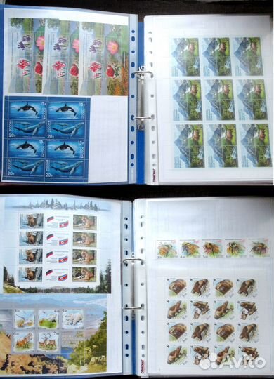 Почтовые марки россии 2000-2014 годов оригиналы