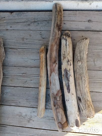 Коряги дрифтвуд
