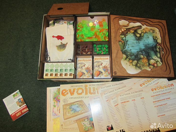 Настольная игра «Эволюция. Естественный отбор»