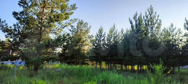 Участок 17 сот. (ИЖС)