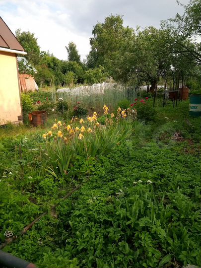 Дача 10 м² на участке 4 сот.