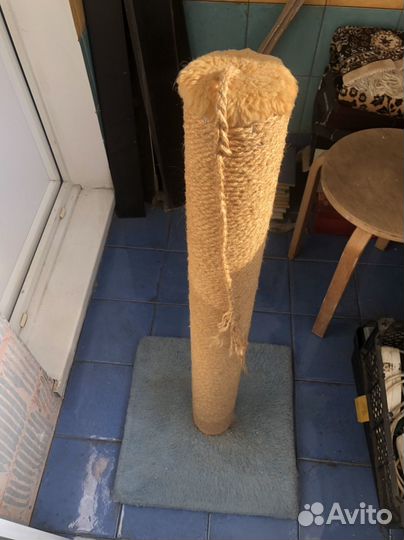 Когтеточка,сумка-переноска,лоток