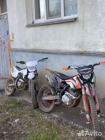 BSE Z1/Питбайк