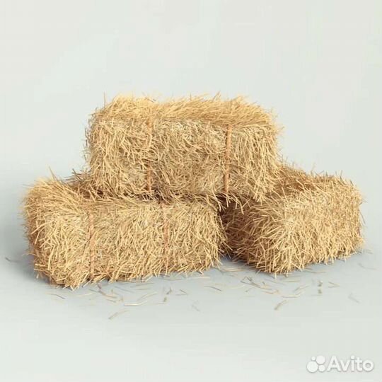 Сено в тюках