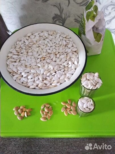 Семена тыквы