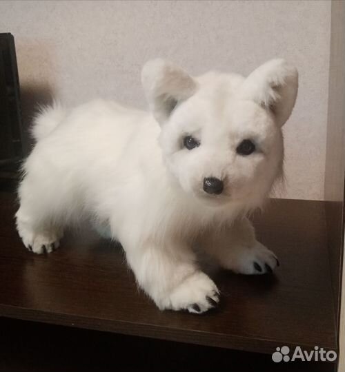 Собака лайка. Мягкая игрушка ручной работы