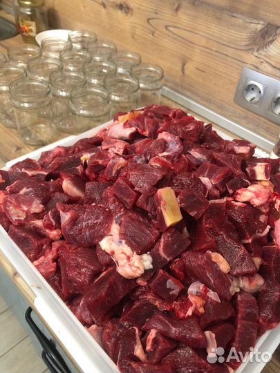 Натуральный корм для собак