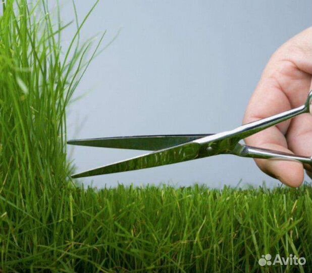 Покос травы,выпыливание мелколесья бурьяна