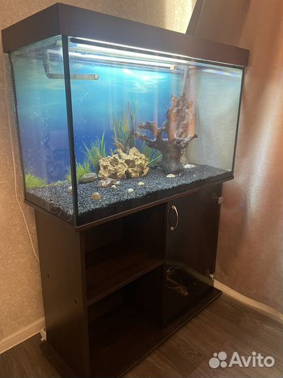Аквариум
