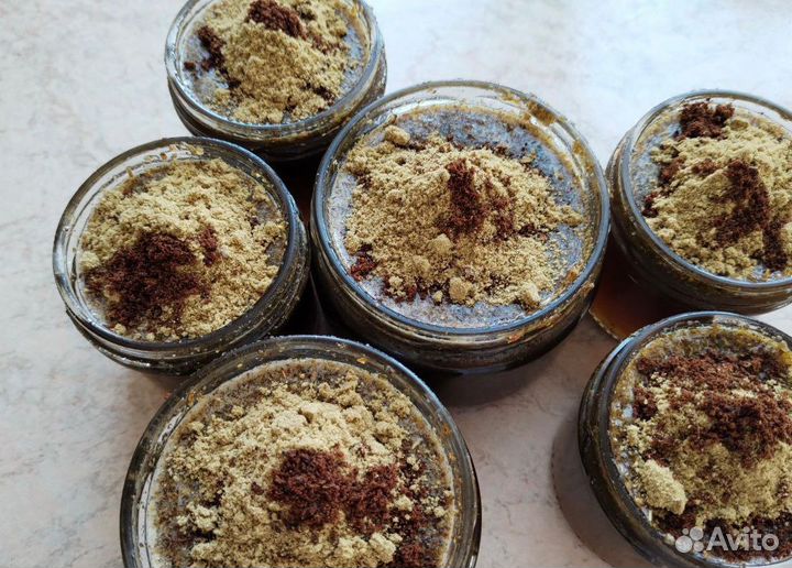 Медогон паразитарный