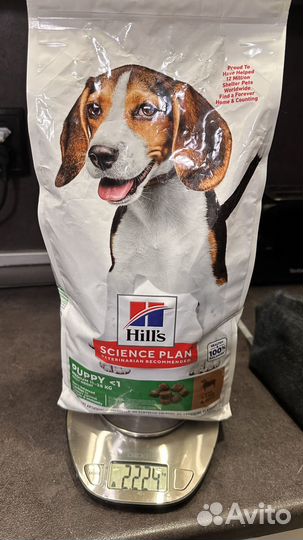 Корм для собак hills