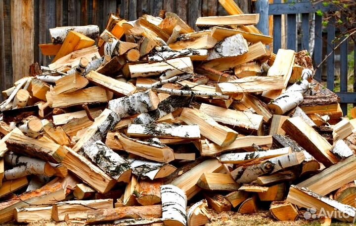 Дрова летней заготовки