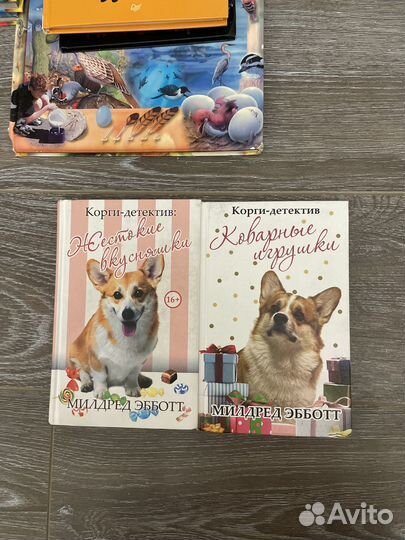 Корги детектив, Блог кота сапиенса, мой мал. Пони