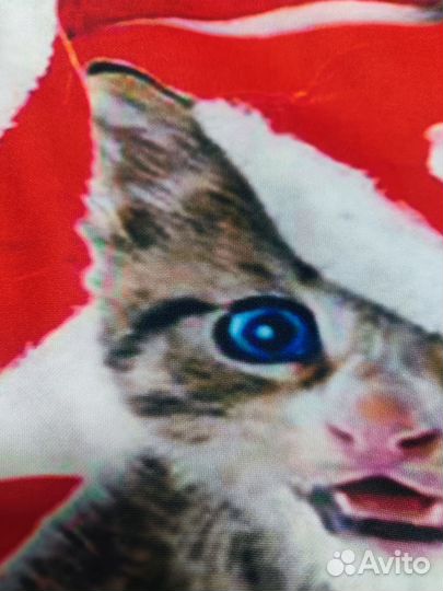 Свитер рождественский котята