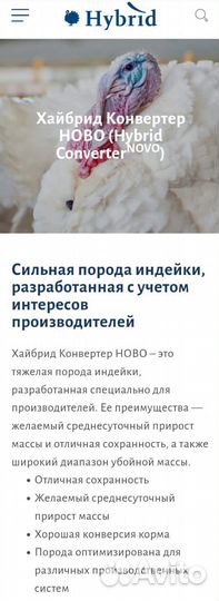 Фабричное инкубационное яйцо на 2023 год. Доставка