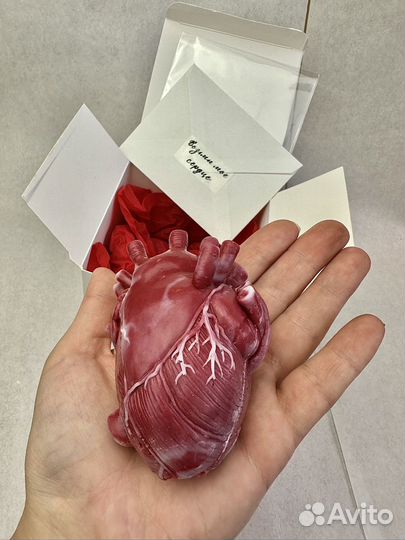 Подарочное мыло сердце анатомическое