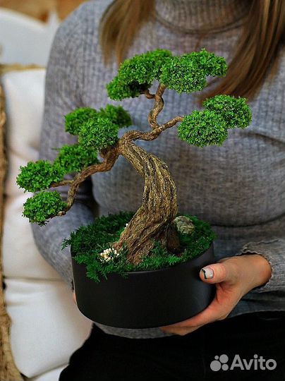 Дерево бонсай натуральное (неживое)