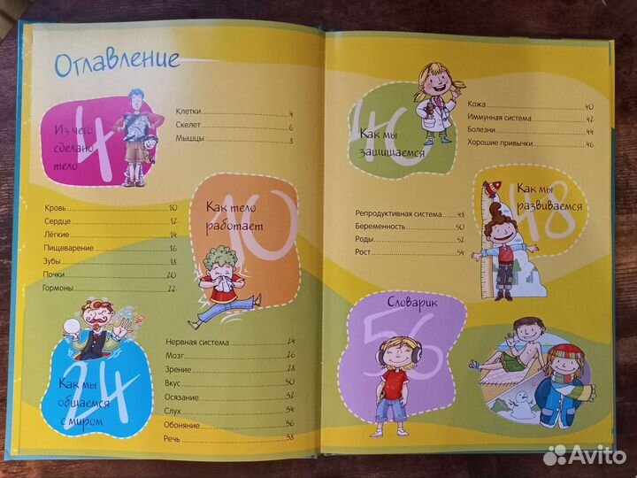 Тело человека. Нескучная анатомия. Детские книги