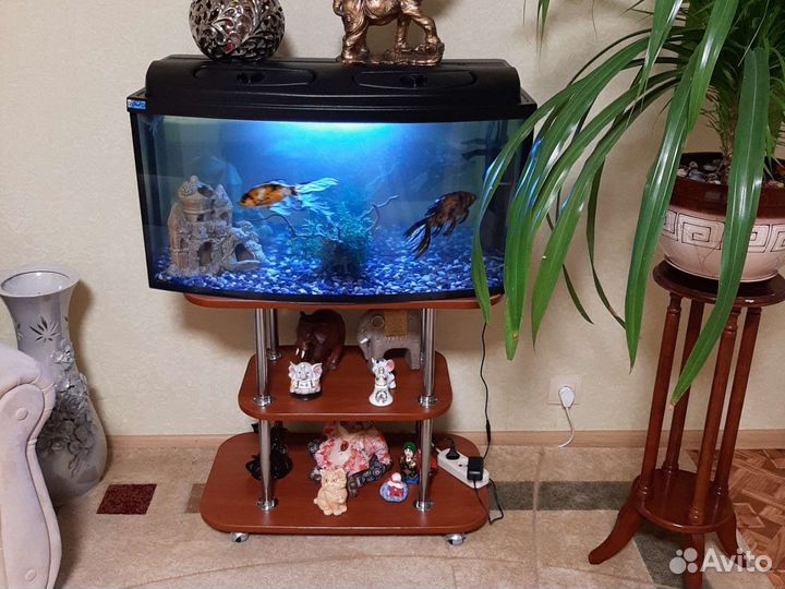 Аквариум