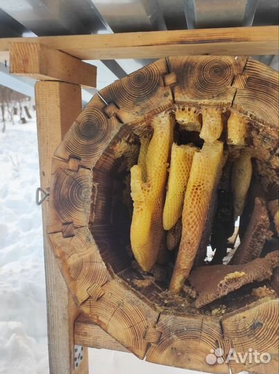 Продам колоду для пчел