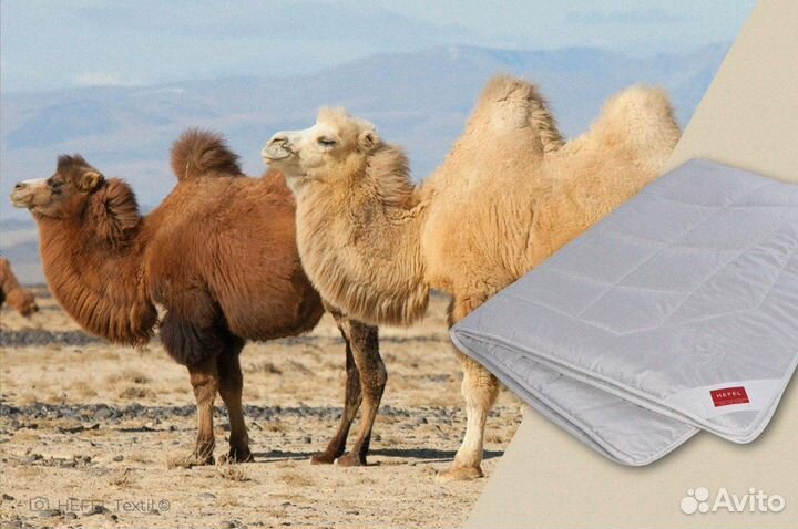 Одеяло / Верблюжья шерсть / Всесезонное