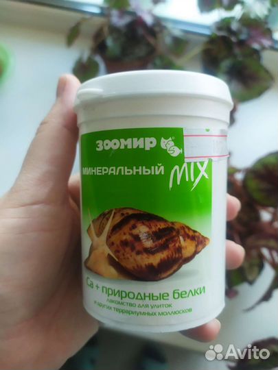 Кальций для улиток