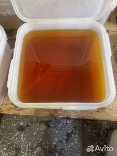 Свежий цветочный мёд оптом