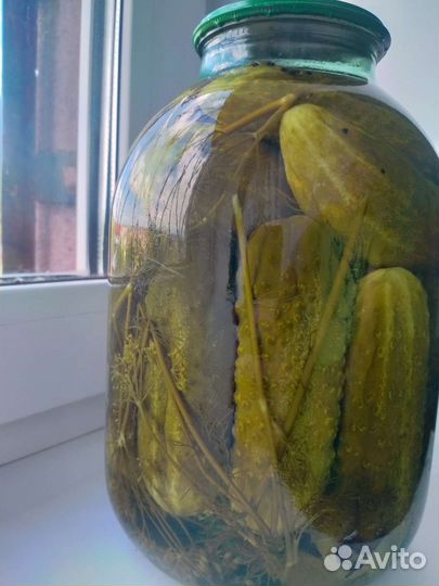 Огурцы маринованные