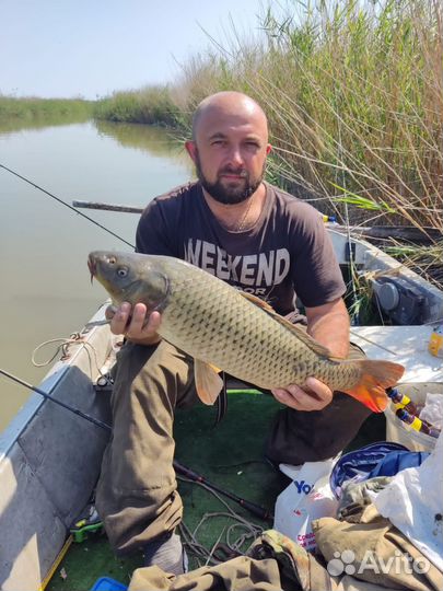 Рыбалка на щуку, сома, сазана