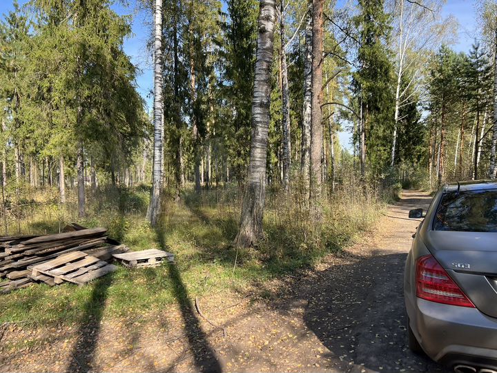 Участок 25 сот. (ИЖС)