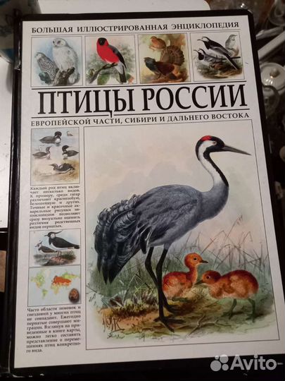 Большая иллюстрированная энциклопедия