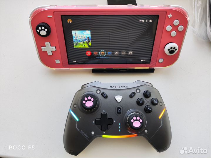 Nintendo switch lite