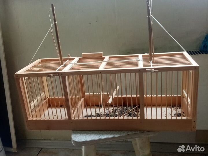 Западок для ловлиптиц
