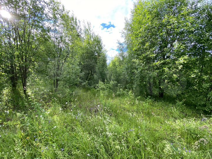 Участок 22 сот. (ИЖС)