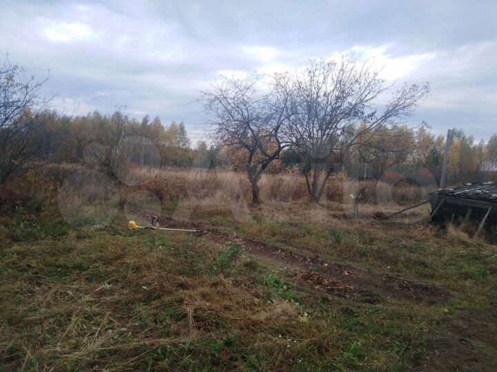 Участок 8 сот. (СНТ, ДНП)