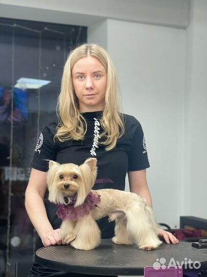 Груминг / стрижка собак и кошек