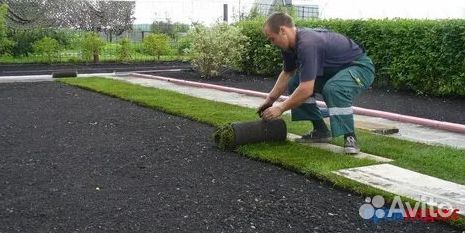 Укладка газона