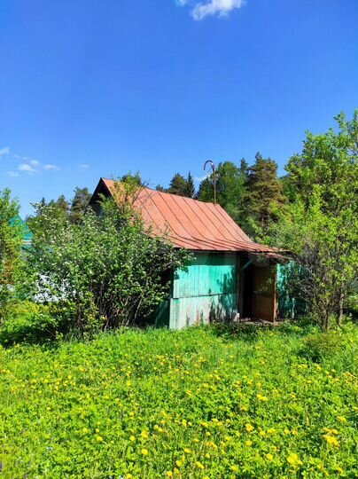 Участок 6 сот. (СНТ, ДНП)