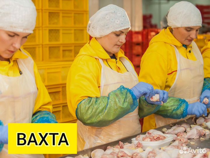 Оператор линии. Вахта. Семейные места